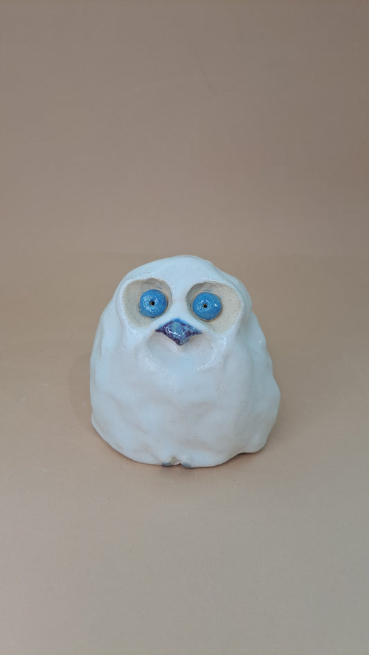 Pöllöt
